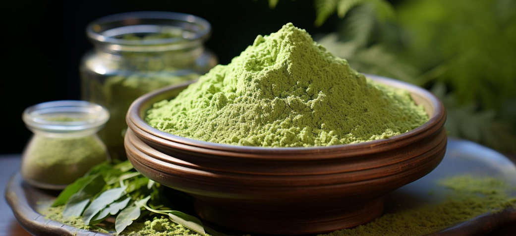 The Growing Global Demand for Moringa Powder Bulk Wholesale Opportunities